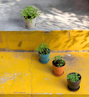Pioneera pot tanaman Mini warna-warni pot bunga mudah terurai ramah lingkungan untuk penggunaan dalam ruangan & luar ruangan, pot tanaman kecil untuk dekorasi rumah
