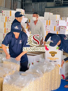 เม็ดมะม่วงหิมพานต์อบแห้งคุณภาพสูง เกรด A จากเวียดนาม ความชื้นสูงสุด 15% บรรจุภัณฑ์สุญญากาศ อายุการเก็บรักษา 2 ปี รับผลิตแบรนด์ OEM ขายส่ง Belle - Product Image 3