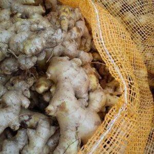 Jengibre Puro de Calidad, Especia Natural Seca para Cocinar, Mezclas Culinarias y para Realzar el Sabor en Recetas Cotidianas - Product Image 2