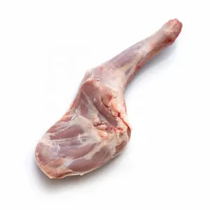 Gran cantidad de cordero congelado Halal de alta calidad, carne de oveja precio barato Cordero congelado