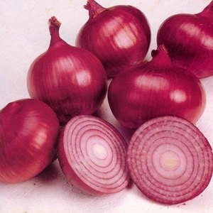Indian Fresh <b>Red</b> Onion 50+ mm Well Cured for International Wholesale Markets - Product Image 2