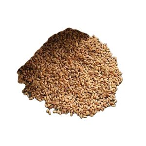 Graines de blé blanc mou et dur à bas prix Grain de style séché à vendre - Product Image 1