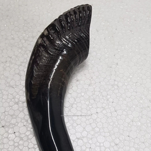 Thủ công đánh bóng động vật shofar xác thực RAM của sừng cho Rosh hashanah & yom kippur từ Ấn Độ bán buôn shofar sừng - Product Image 1