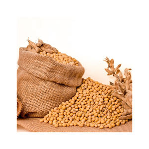 Fèves de soja séchées de qualité supérieure Soja sans ogm Soja jaune sans ogm de haute qualité/de haute qualité - Product Image 3