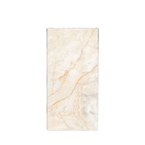 El mejor azulejo de piso de sala de estar de porcelana blanca interior de cerámica al por mayor 60x120cm - Product Image 1