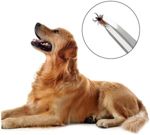 Kit d'élimination des tiques pour chiens, 3 pièces en acier inoxydable de qualité supérieure | Instruments de soins des poils d'animaux à poignée antidérapante - Product Image 3