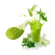 Poudre de céleri naturel-100% Poudre de légumes séchés biologiques du Vietnam // Ms. Beatrix - Product Image 2