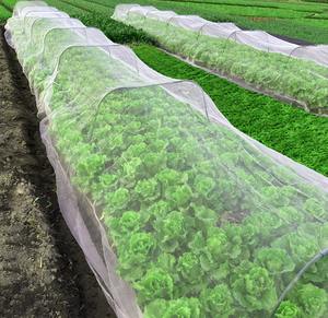 Toptan dayanıklı HDPE Anti-cibinlik özel kesim sera tarım böcek örgü <span class=keywords><strong>Net</strong></span> sebze bahçeleri için - Product Image 4