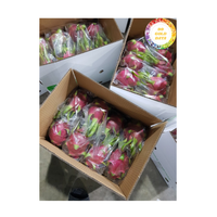 Vers Drakenfruit Van Vietnam Natuurlijk Tropisch Product Voor Export Retail En Levering Van De Voedingsindustrie