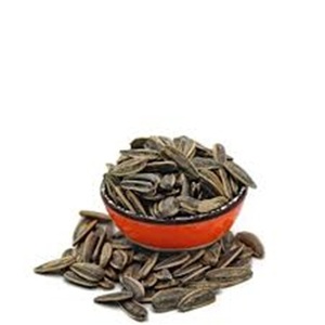 Food Grade <b>Sunflower</b> Seeds Available for Export Worldwide at Farm Price - Product Image 4