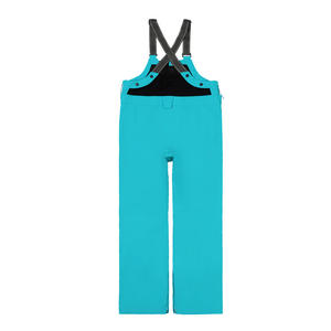 Baberos de esquí personalizados para mujer, pantalones con babero de nieve con aislamiento impermeable y logotipo impreso, ropa de esquí de invierno, servicio OEM ODM disponible - Product Image 5