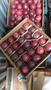 WA84786436556ผลไม้สดใหม่มีรสเปรี้ยวหวาน - Product Image 3