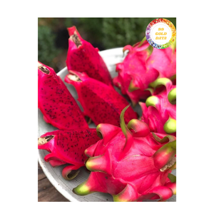 Fruta de dragón fresca de Vietnam, variedad Dulce Tropical, fruta natural, Ideal para postres de jugo y suministros de exportación - Product Image 3