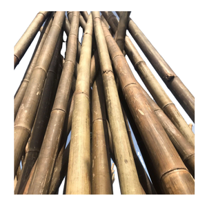 Postes de bambú de alta resistencia para construcción y plantas Postes de bambú de calidad de enrejado para diversas aplicaciones de construcción - Product Image 1