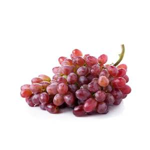 องุ่นไร้เมล็ดแดงสดพรีเมียม - คุณภาพส่งออกเกรด 1 - องุ่นหวานคุณภาพสูงสำหรับรับประทาน ขายส่ง - Product Image 1