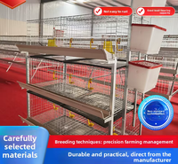 Cage à poulets en acier galvanisé à chaud de type H personnalisée pour élevage avicole avec une conception durable