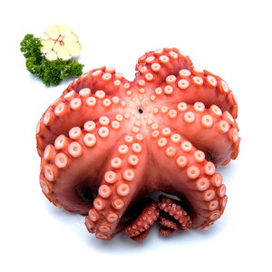 Wholesale Frozen Octopus <b>Bulk</b> Supplier Frozen Seafood Octopus Competitive Price Export Quality Octopus <b>for</b> <b>Sale</b> - Product Image 2