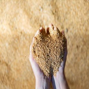 Harina de Soja (48%) Rica en Proteínas - Product Image 6