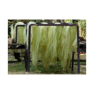 Fibres de sisal de qualité supérieure, vente en gros, qualité export, approvisionnement - Product Image 2