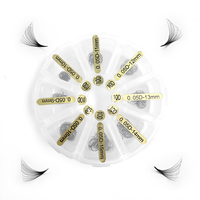 Meilleures ventes de éventails de cils pré-faits - Éventails uniformes 2D-10D en vrac pour la vente en gros en salon