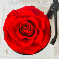 Boîte cadeau en acrylique carrée avec rose éternelle, écran LED et haut-parleur phonographe - Cadeau d'Halloween