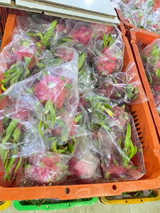 Fruit du dragon tropical frais Premium Vietnam | Chair rouge et chair blanche | Norme d'exportation de haute qualité - Product Image 6