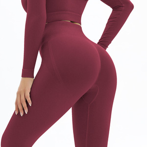 Ropa de entrenamiento Logotipo personalizado Entrenamiento Ropa para correr Ropa deportiva Ropa de gimnasio Yoga Crop Top Mujeres Conjuntos de yoga sin costuras - Product Image 6