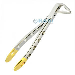 Pinzas de extracción dentales de acero inoxidable con patrón americano, alicates dentales de medio oro con cuerno de vaca - Product Image 5