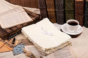 Hojas de papel plantable hechas a mano de 250 Gsm respetuosas con el medio ambiente de alta calidad al mejor precio, tamaño A4 A5 personalizado, paquete de 10 hojas India High - Product Image 4