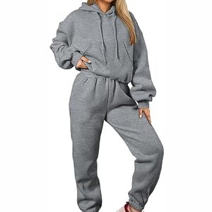 Ensembles de survêtements à capuche pour femmes les plus vendus, vêtements imprimés lourds avec pantalon, caractéristiques de grande taille, nouveauté 2025 - Product Image 3