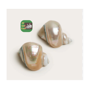 SERVILLETA SEASHELL NATURAL DE CALIDAD PREMIUM HECHO A MANO DE VIETNAM PRODUCTO PARA LA DECORACIÓN DEL HOGAR - Product Image 6