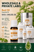 Huile Essentielle de Basilic Turc Pur à 100% (Linalol) Ocimum Basilicum Distillée à la Vapeur – Vente en Gros, Marque Privée, Cosmétique, Massage