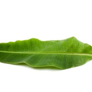 ใบตองสีเขียวปรุงง่ายอย่างยั่งยืนเพื่อให้ได้รสชาติและการห่อที่เป็นธรรมชาติ - Product Image 4