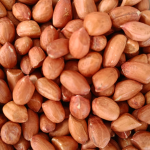Runner Type Indian Groundnuts 60/70 Count Grado de cocción controlado por humedad Mejor precio a Países Bajos - Product Image 4