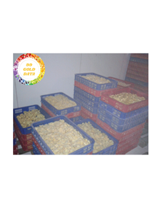 Trozos de Jackfruits congelados IQF para batidos y postres Suministro de frutas tropicales Premium procesadas en Vietnam - Product Image 3