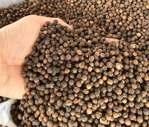 2025 Nueva temporada pimienta molida en polvo Vietnam cultivada pimienta negra seca 5mm todos los grados crudos procesados especias y hierbas individuales - Product Image 4