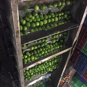 <span class=keywords><strong>2025</strong></span> Bán Buôn Không Hạt Chanh Tươi Từ Việt Nam Giá Rẻ Giá 100% Tươi Lime/Citrus Trái Cây - Product Image 1