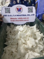 KELAPA MUDA KERING LEMBUT DARI VIETNAM CAMILAN SEHAT YANG LEZAT TANPA TAMBAHAN GULA KEMASAN VAKUM BESAR KUALITAS PREMIUM DIJUAL
