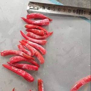 Mejor Precio Calidad Premium Chiles congelados de Vietnam exportación a granel - Product Image 1
