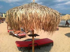 SOMBRILLA DE TECHO DE CÉSPED NATURAL - Product Image 5