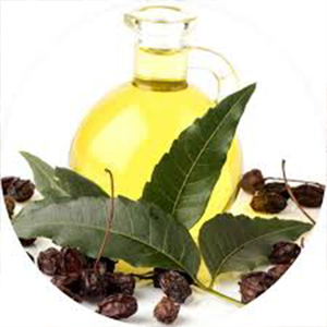 100% Pure Organic Neem Oil Extrait de graines pressées à froid Booster du système immunitaire Anti-oxydant sauvage cultivé emballé dans une bouteille - Product Image 1
