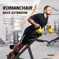 Achetez une machine d'extension dorsale Roman Chair, un banc d'hyperextension du bas du dos, un équipement d'exercice réglable pour les ischio-jambiers et les fessiers