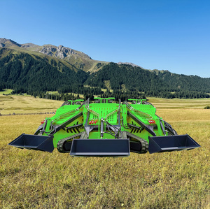 Ücretsiz kargo kuengine motor <span class=keywords><strong>Mini</strong></span> Skid nokta dönüşlü yükleyici hızlı kargo EPA/EURO 5 düşük fiyat kova ön <span class=keywords><strong>Mini</strong></span> traktör yükleyici