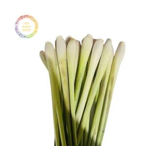 CITRONNELLE CONGELÉE SUPÉRIEURE BON GOÛT CITRONNELLE PROCESSUS IQF FABRIQUÉ AU VIETNAM PRIX CHAUD CITRONNELLE - Product Image 2