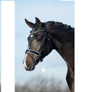 Vente en gros de bride de cheval en cuir véritable de fabricants Vente en gros de bride de cheval en cuir véritable de haute qualité - Product Image 5