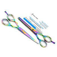 Ensemble de ciseaux de Salon de haute qualité cisailles de coiffeur ciseaux de coupe de cheveux ciseaux à effiler conception de poignée décalée en acier inoxydable
