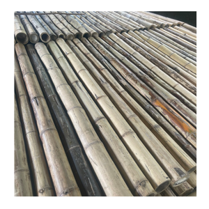 Poteaux en bambou solides pour la décoration extérieure de voie et de jardin Poteaux en bambou de qualité supérieure pour l'aménagement paysager et la conception - Product Image 1