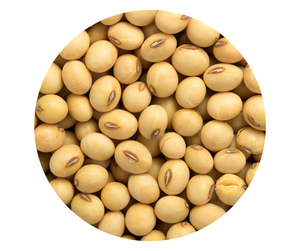 Farine de soja jaune séchée en vrac biologique et sans OGM dans des sacs Processus de séchage naturel pour l'alimentation animale - Product Image 2