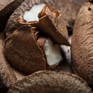 Supplier of <b>Brazil</b> <b>nuts</b> with mixed grade and size - Product Image 1