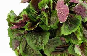 HOJAS DE AMARILLO VERDE CONGELADAS ETIQUETA LIMPIA A BASE DE PLANTAS PURAS NATURALES APOYO A LA SALUD INMUNE SUPERALIMENTO - Product Image 2